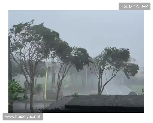 ✅体育直播🏆世界杯直播🏀NBA直播⚽- 台风“康妮”携风浪袭福建 部分海域渔船到港避风- sports ✅体育直播🏆世界杯直播🏀NBA直播⚽- 台风“康妮”携风浪袭福建 部分海域渔船到港避风- sports