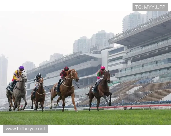 介绍亚运会马术项目(2022亚运会马术赛场选址在哪里)世界杯体育论坛 介绍亚运会马术项目(2022亚运会马术赛场选址在哪里)世界杯体育论坛